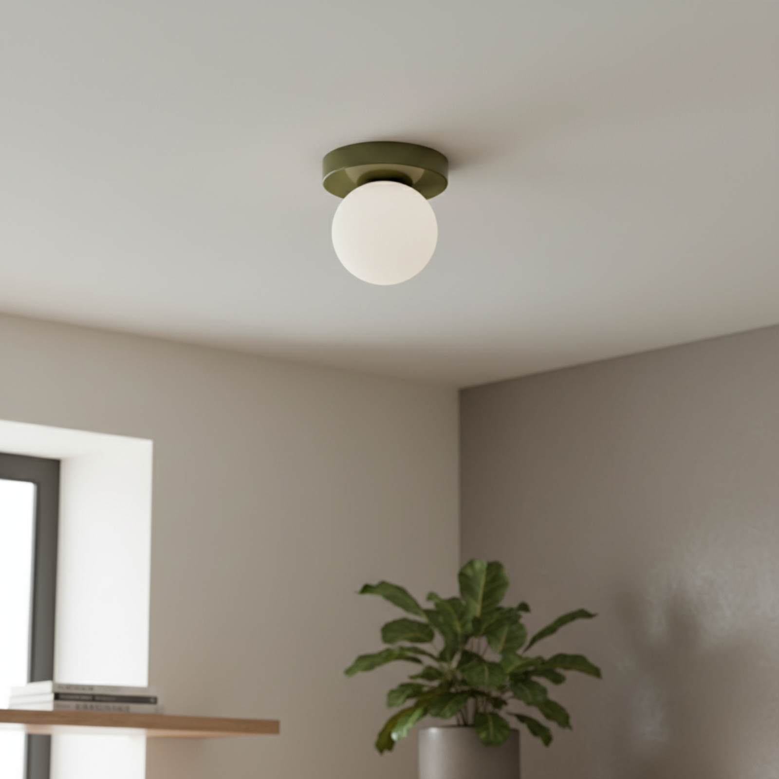 Frosted Glass Globe Wall and Ceiling Light