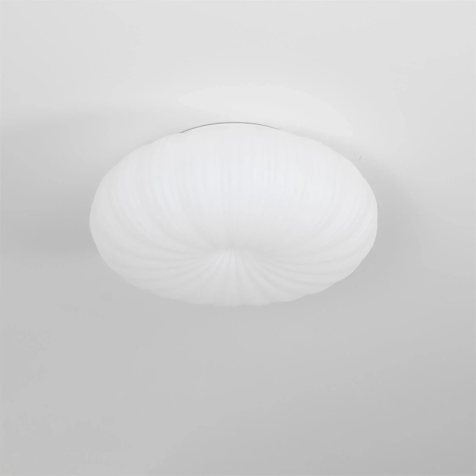 Minimalist Shell-Inspired Ceiling Light with Organic Japandi Design