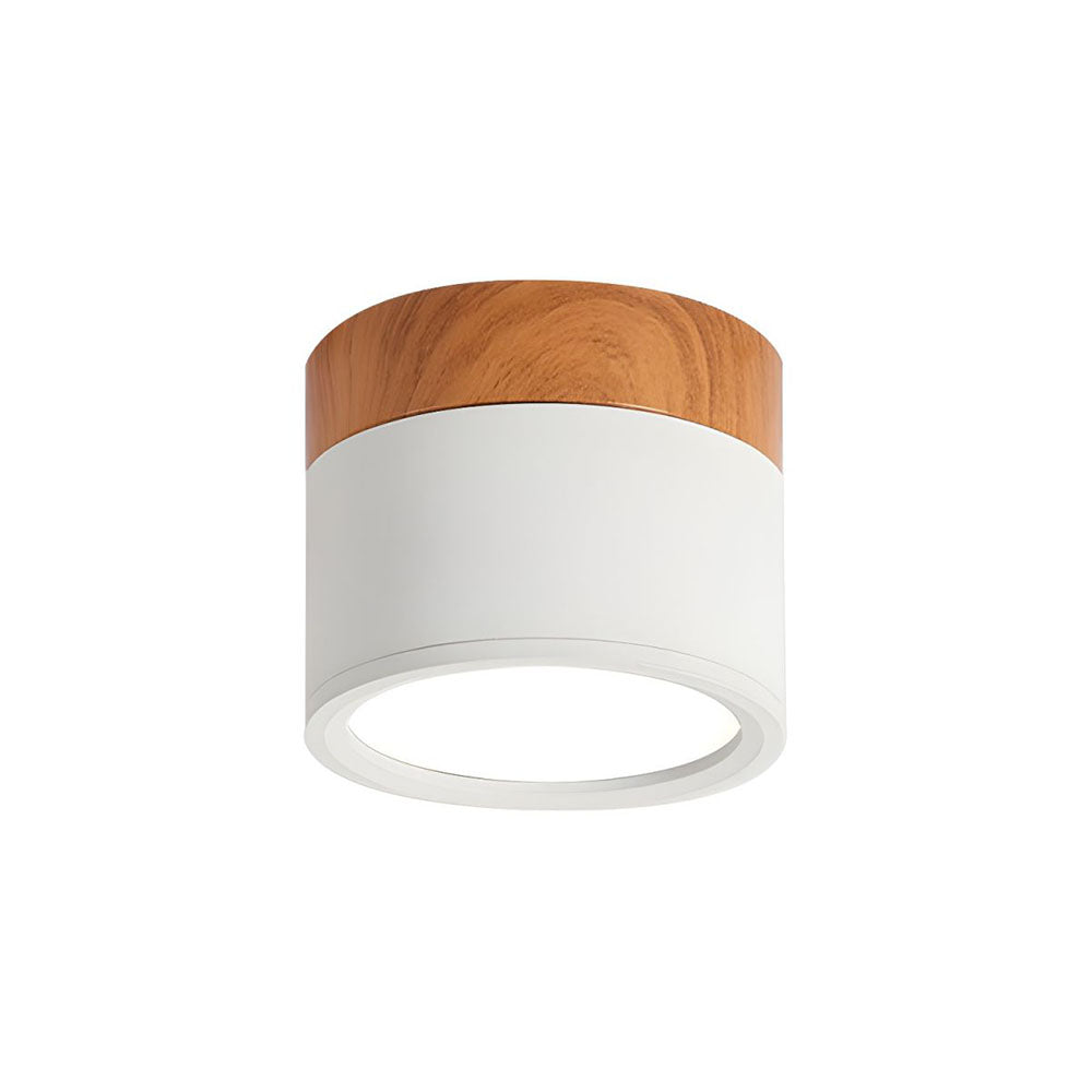Modern Cylinder LED Flush Mount Ceiling Light with Compact Aluminium Design