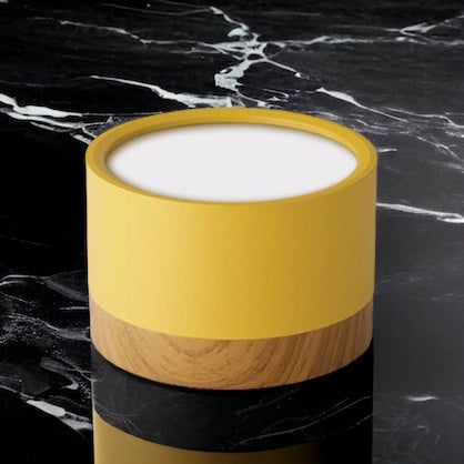 Nordic Cylinder LED Hallway Ceiling Light
