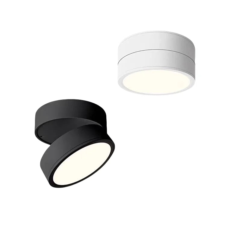 Modern Adjustable LED Ceiling Light with Rotating Head
