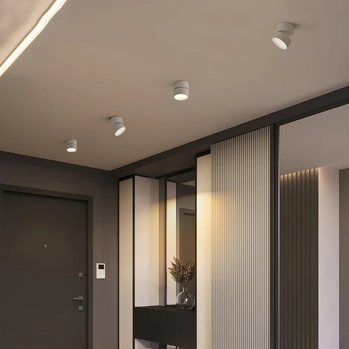 Modern Adjustable LED Ceiling Light with Rotating Head