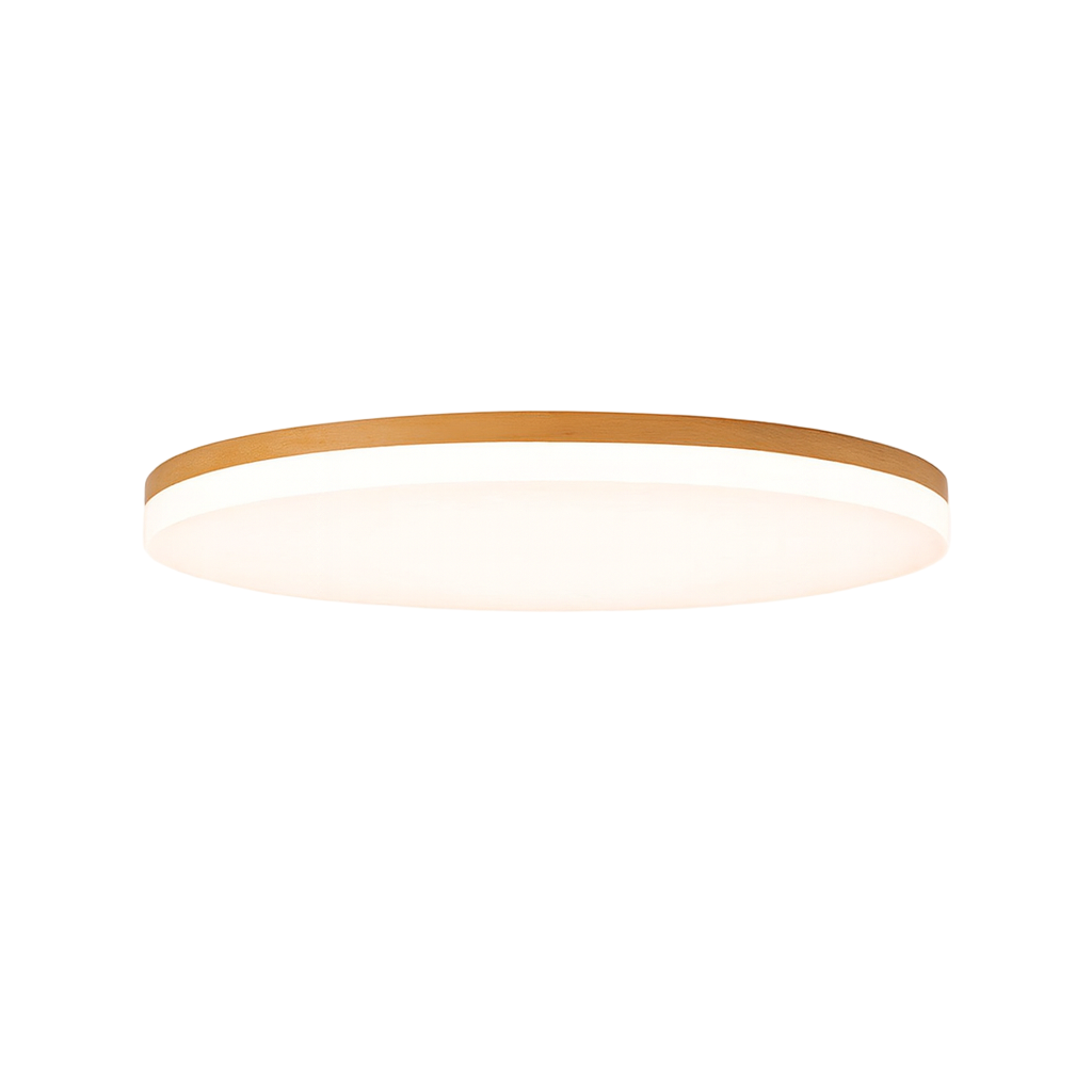 Modern LED Ceiling Lamp Ceiling Light for Bedroom, Living Room & Dining Room