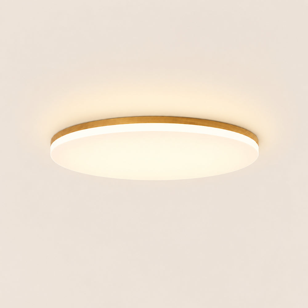 Modern LED Ceiling Lamp Ceiling Light for Bedroom, Living Room & Dining Room