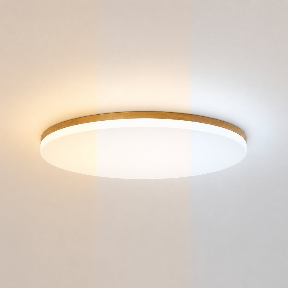Modern LED Ceiling Lamp Ceiling Light for Bedroom, Living Room & Dining Room