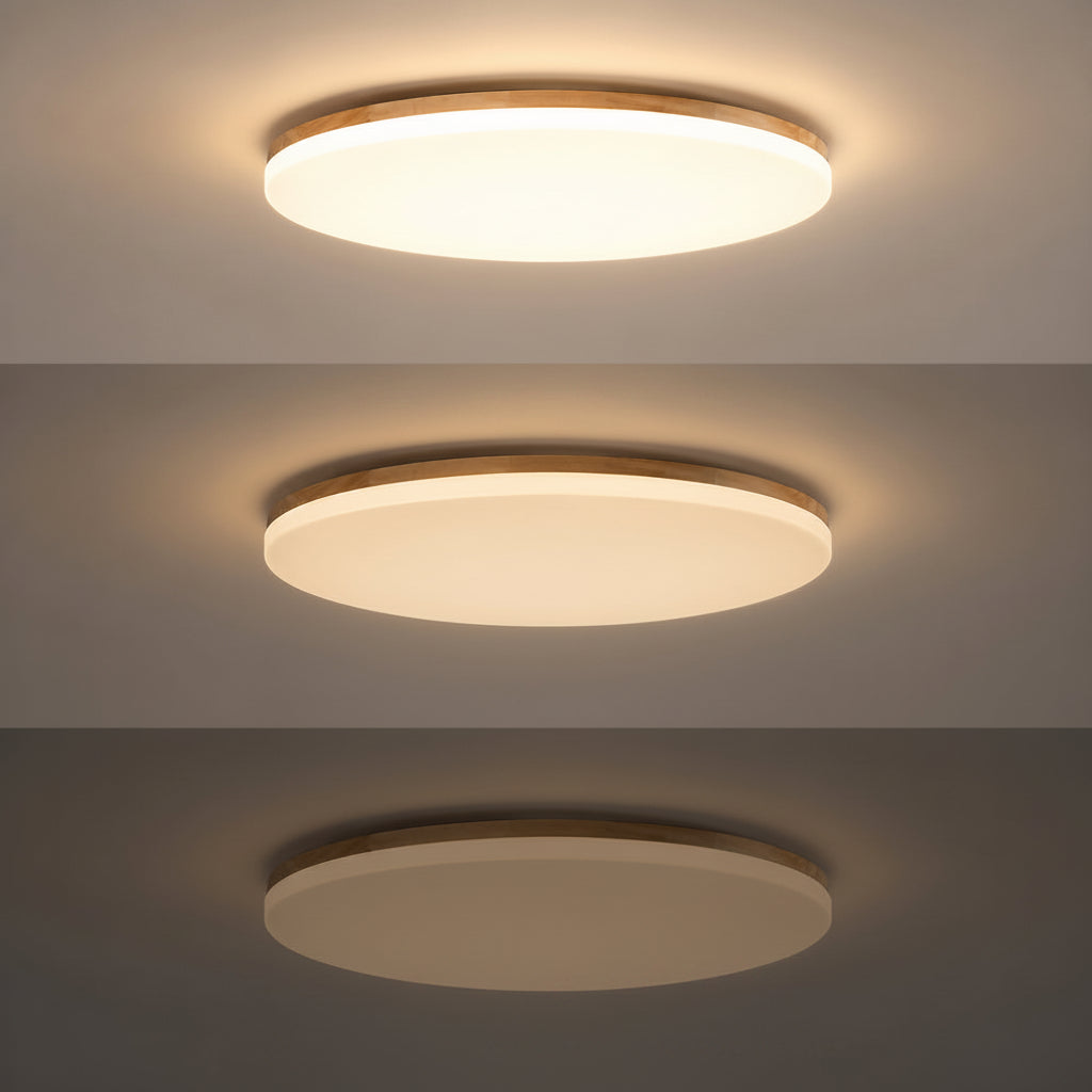 Modern LED Ceiling Lamp Ceiling Light for Bedroom, Living Room & Dining Room