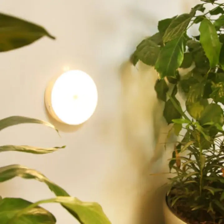 Rechargeable Motion Sensor LED Night Light with PIR Detection and USB Charging