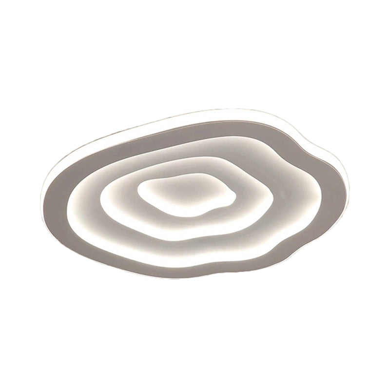 LED Ceiling Lamp | Modern Acrylic Flush Mount Ceiling Light