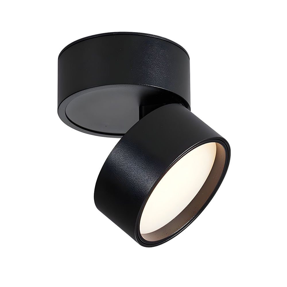 Adjustable Modern LED Ceiling Light with Rotatable Cylindrical Module