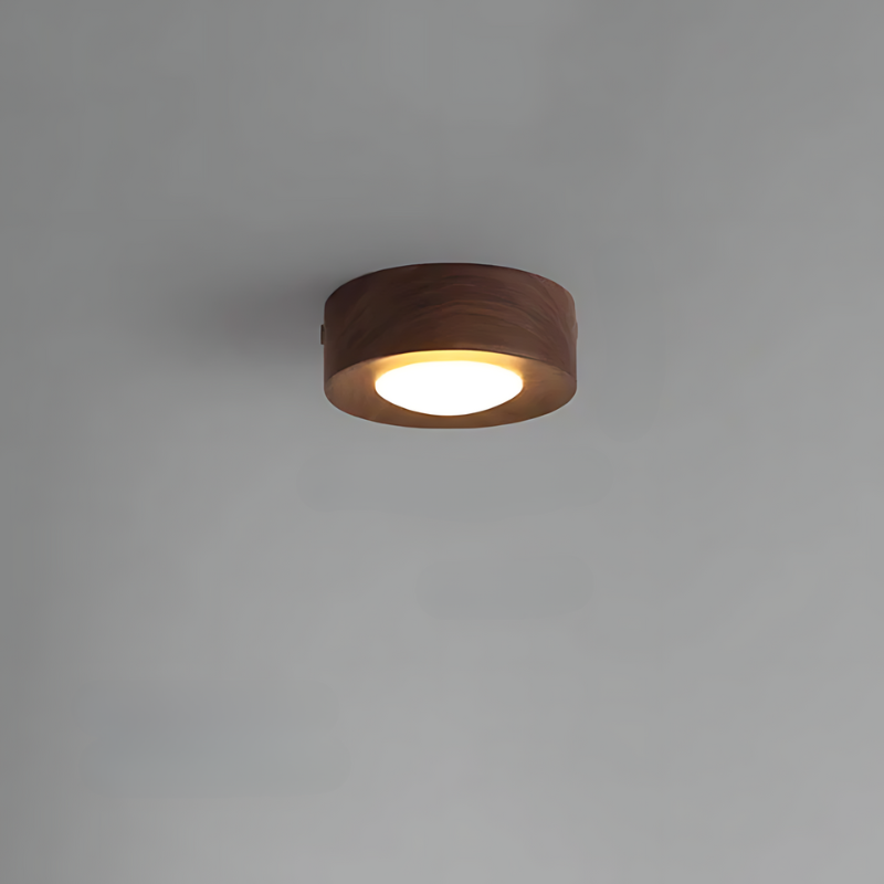 Energy-Efficient LED Spotlight with Minimal Ceiling-Mounted Design