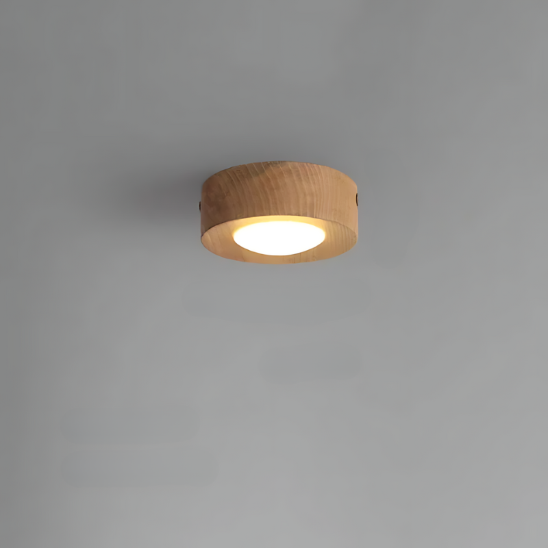Energy-Efficient LED Spotlight with Minimal Ceiling-Mounted Design