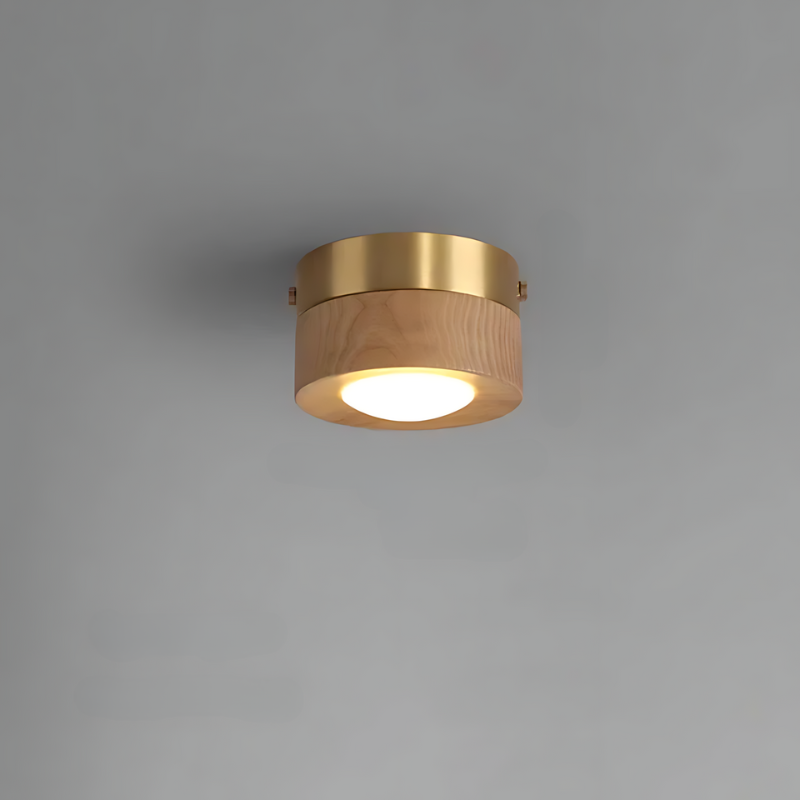 Energy-Efficient LED Spotlight with Minimal Ceiling-Mounted Design