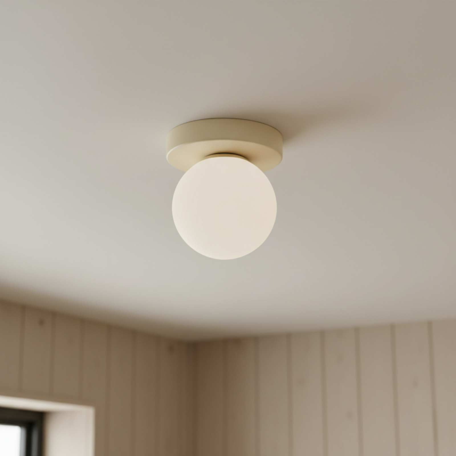 Frosted Glass Globe Wall and Ceiling Light
