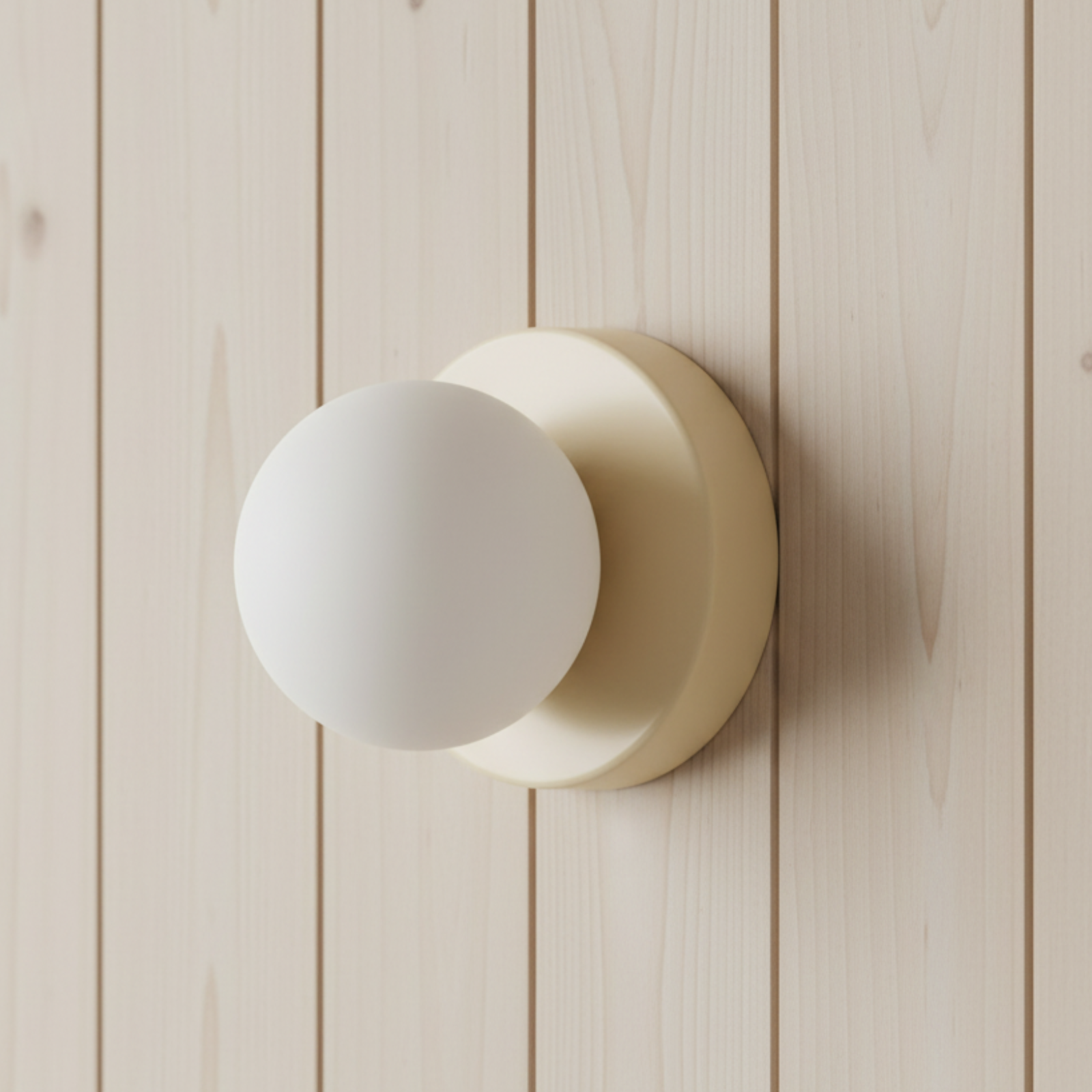 Frosted Glass Globe Wall and Ceiling Light