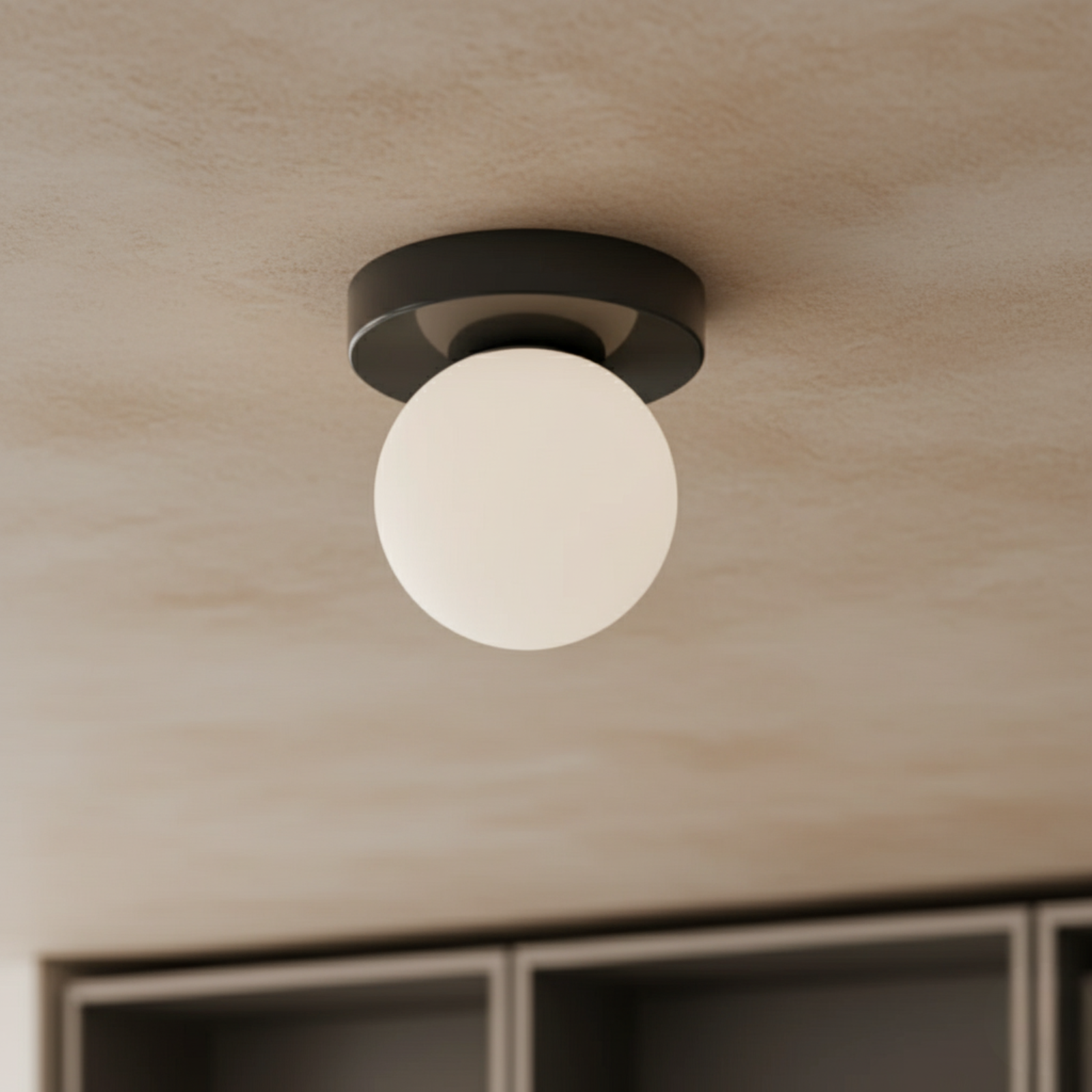 Frosted Glass Globe Wall and Ceiling Light