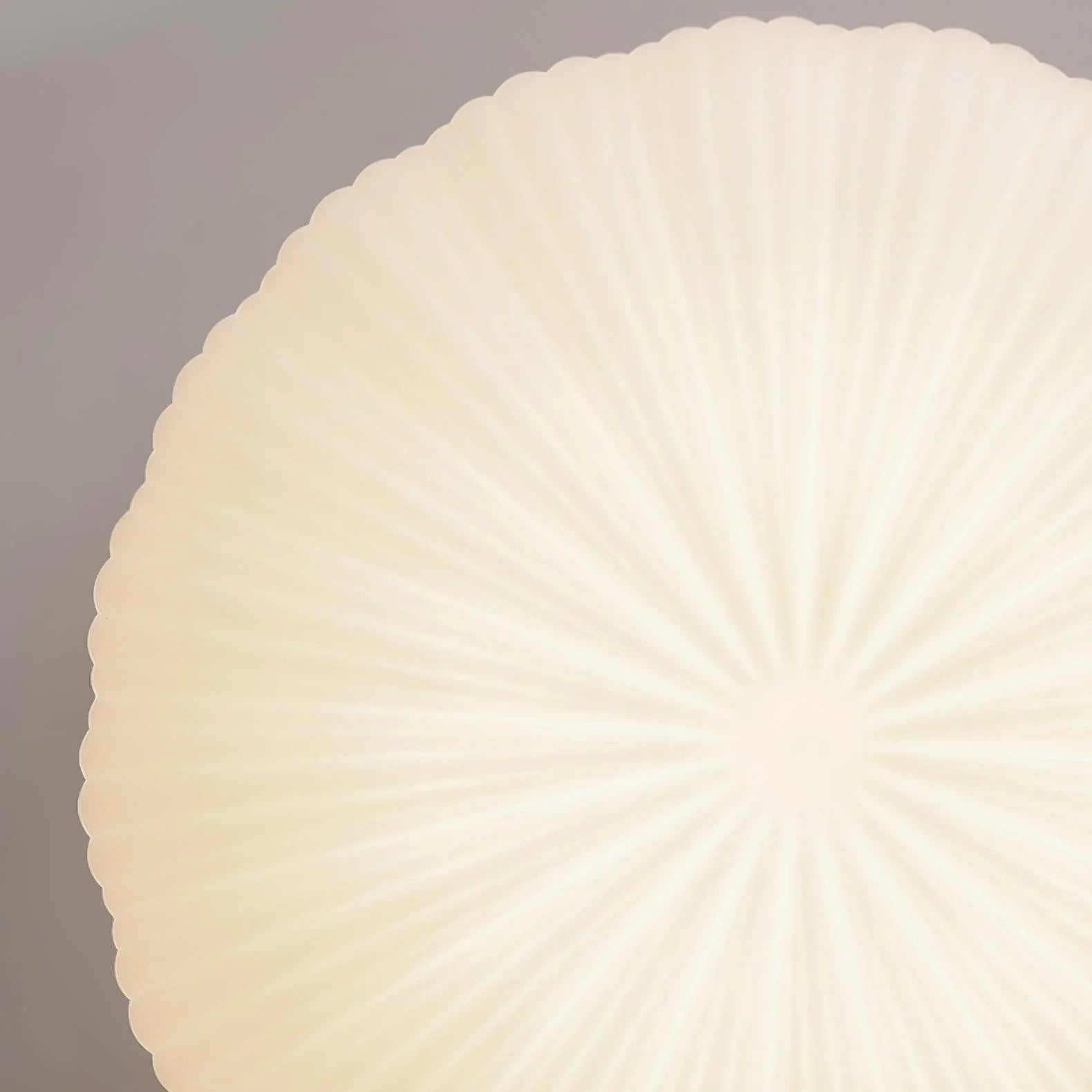 Minimalist Shell-Inspired Ceiling Light with Organic Japandi Design
