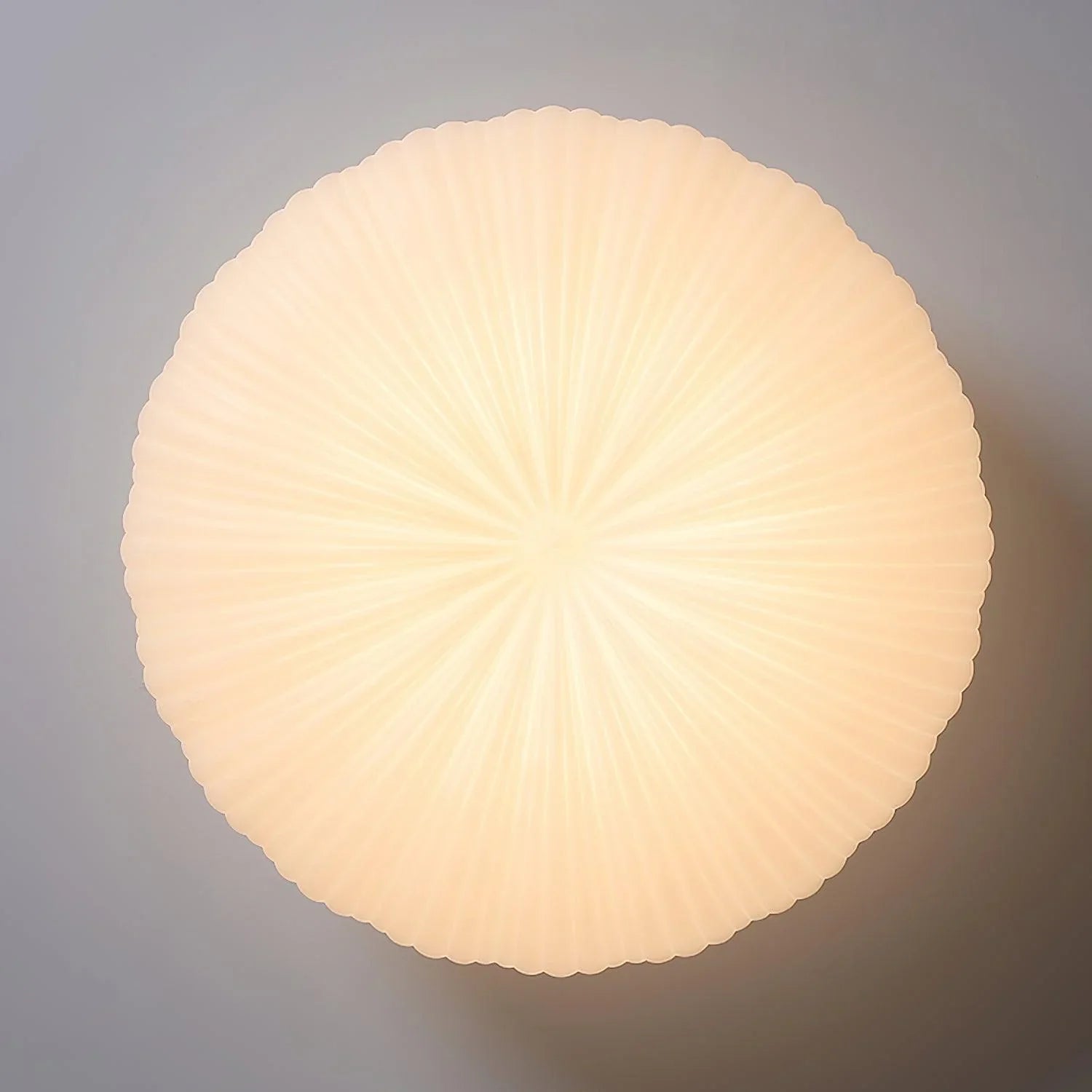 Minimalist Shell-Inspired Ceiling Light with Organic Japandi Design