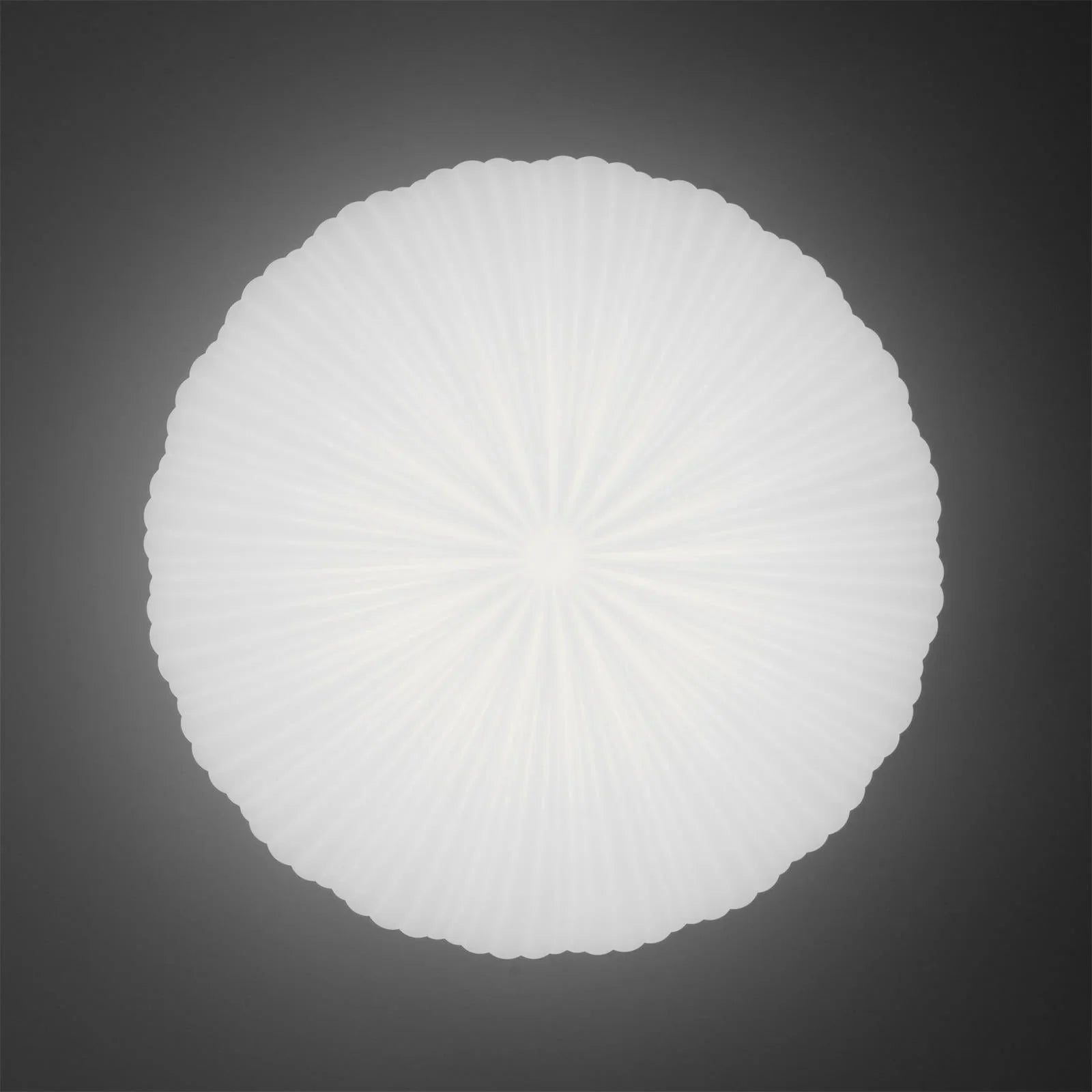 Minimalist Shell-Inspired Ceiling Light with Organic Japandi Design