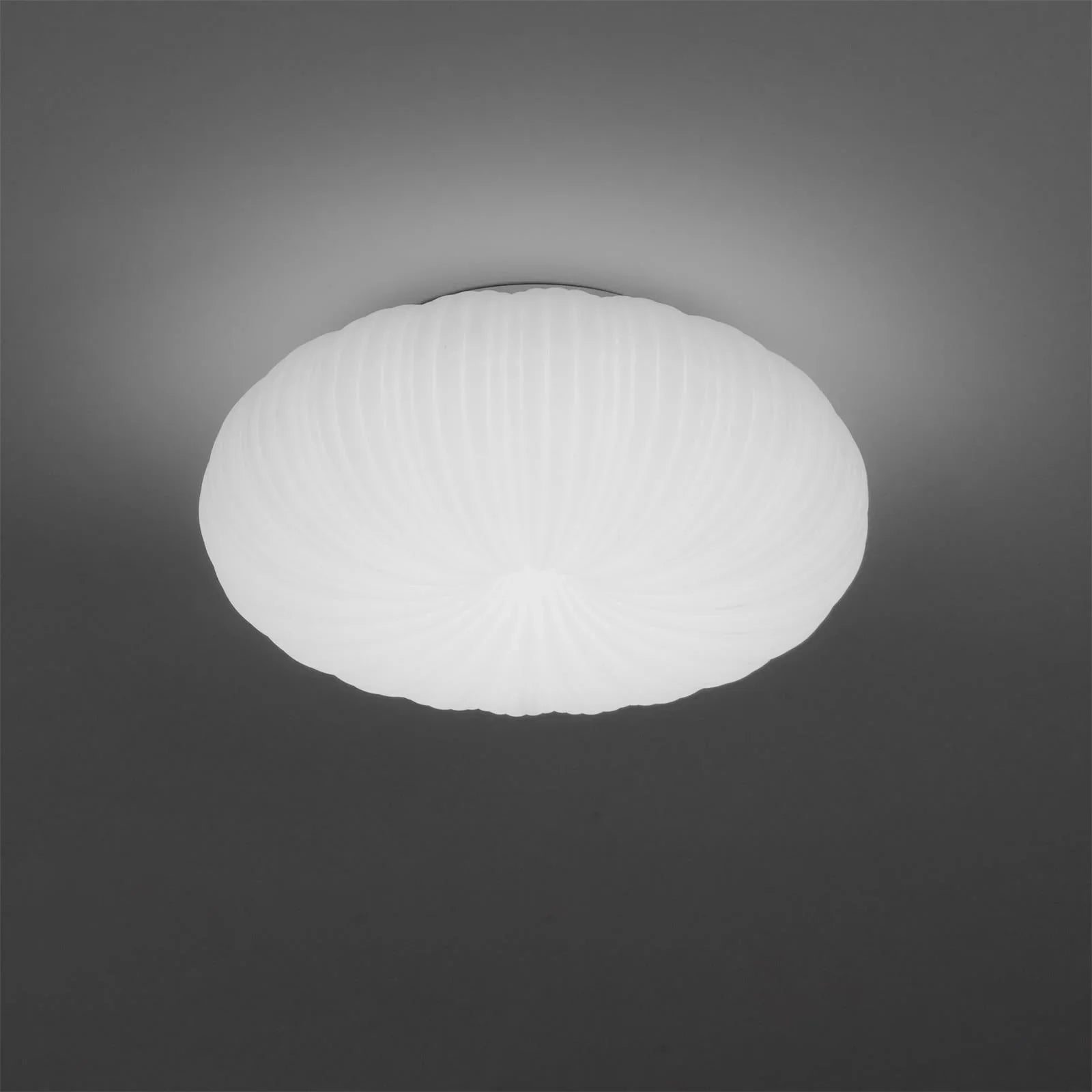 Minimalist Shell-Inspired Ceiling Light with Organic Japandi Design