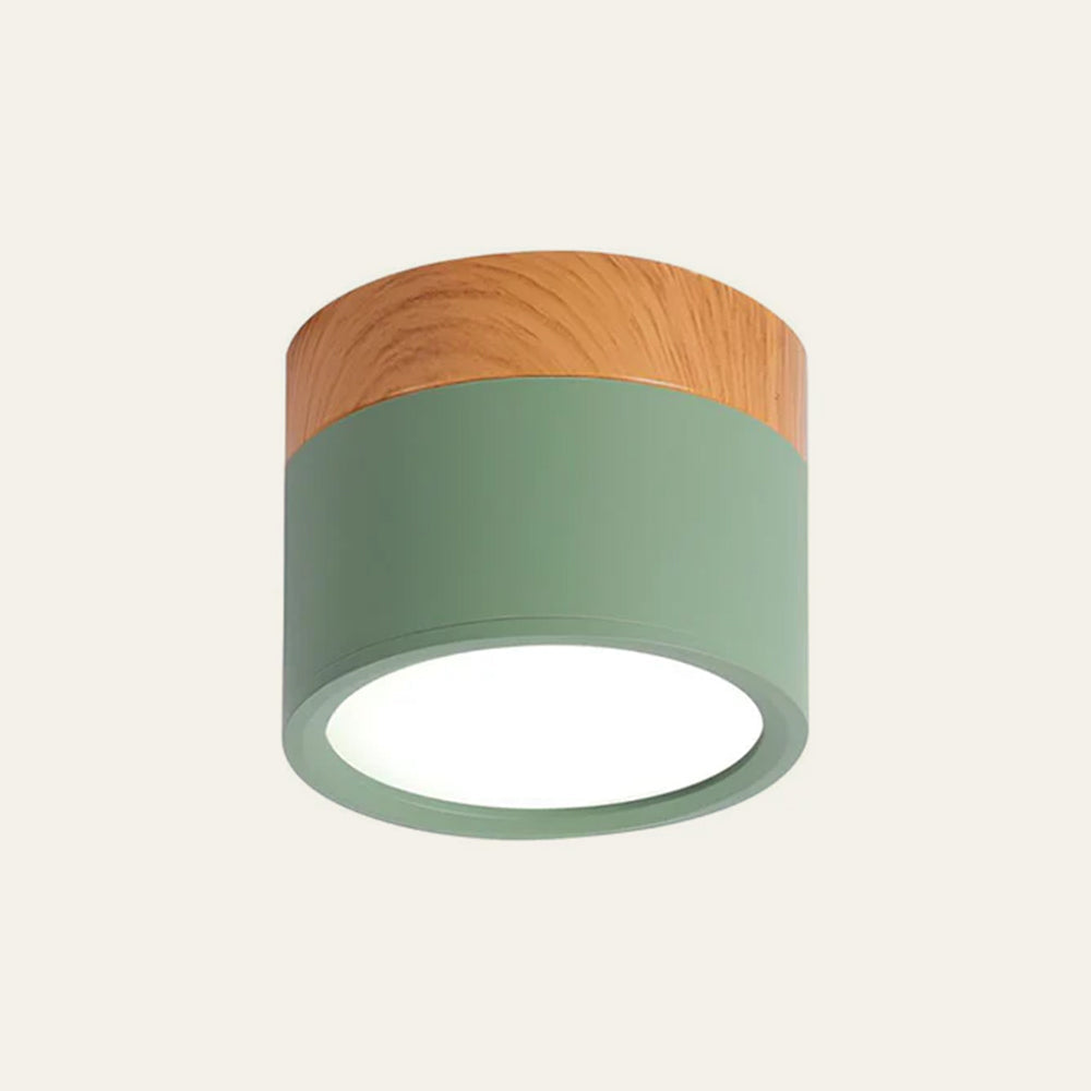 Modern Cylinder LED Flush Mount Ceiling Light with Compact Aluminium Design