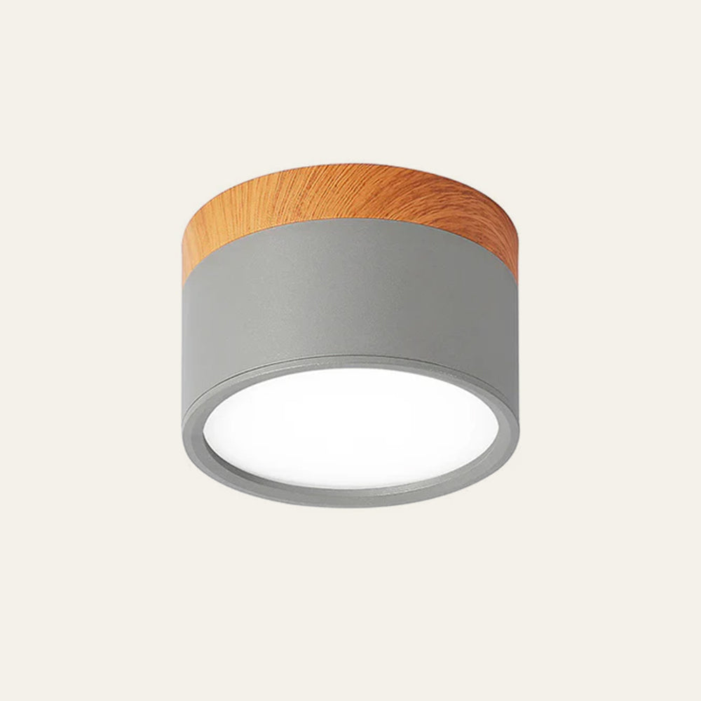 Modern Cylinder LED Flush Mount Ceiling Light with Compact Aluminium Design