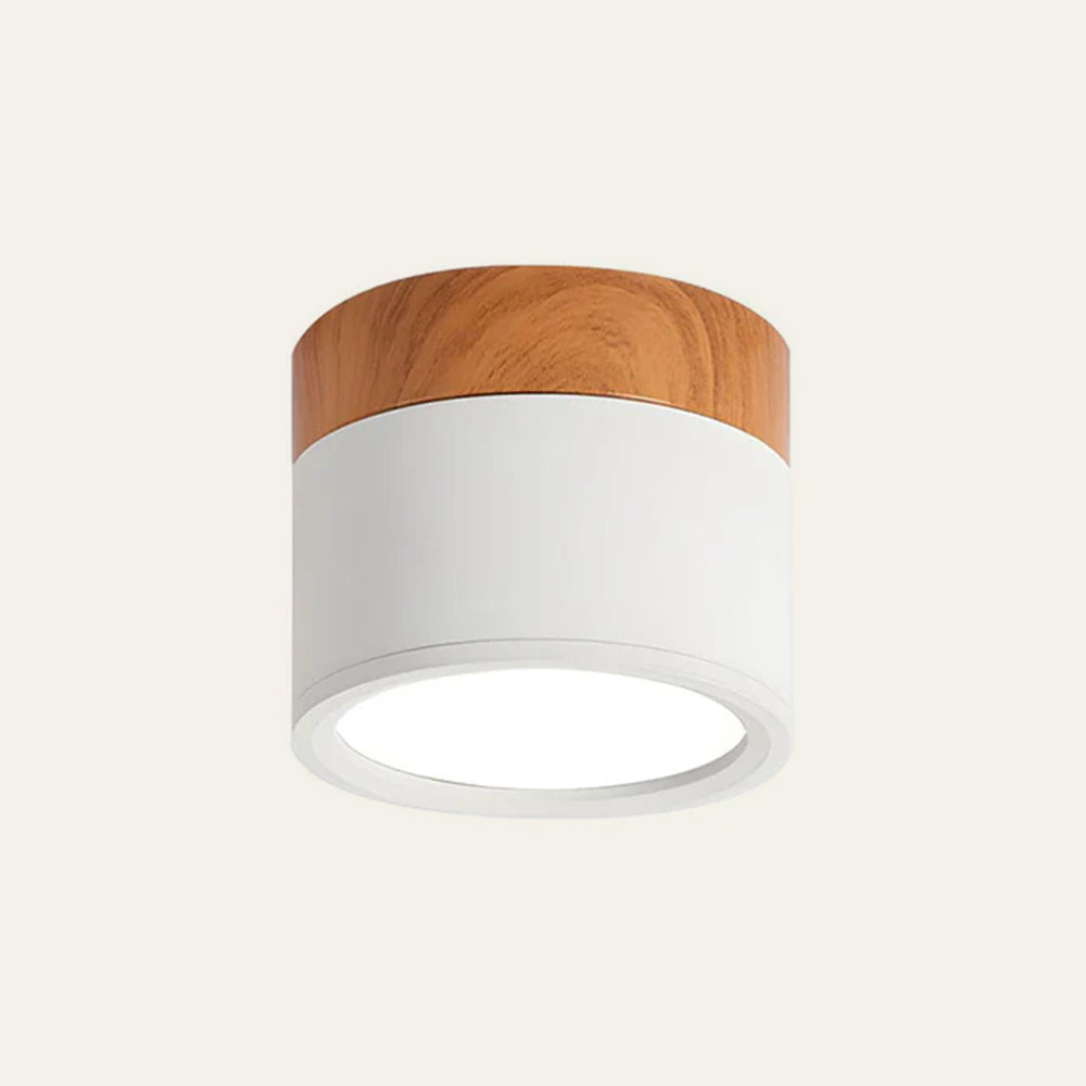 Modern Cylinder LED Flush Mount Ceiling Light with Compact Aluminium Design