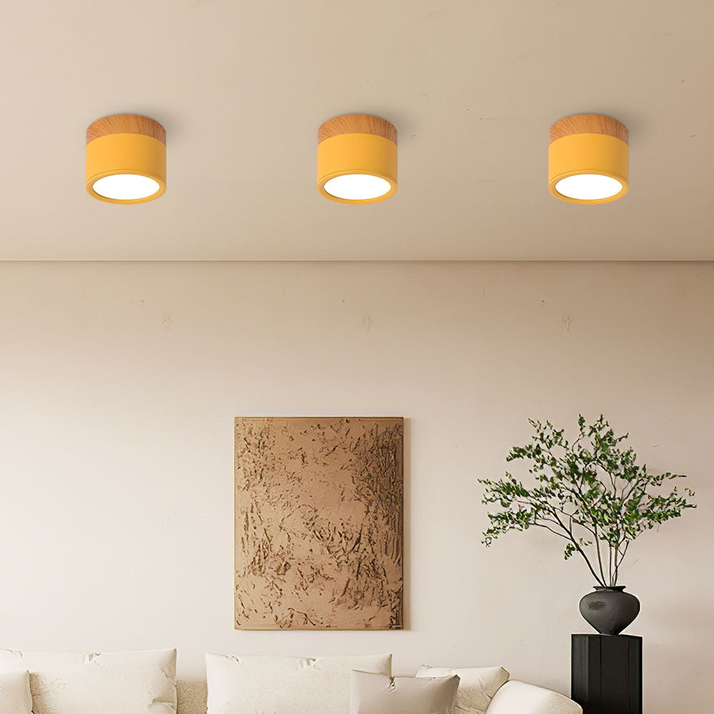 Modern Cylinder LED Flush Mount Ceiling Light with Compact Aluminium Design