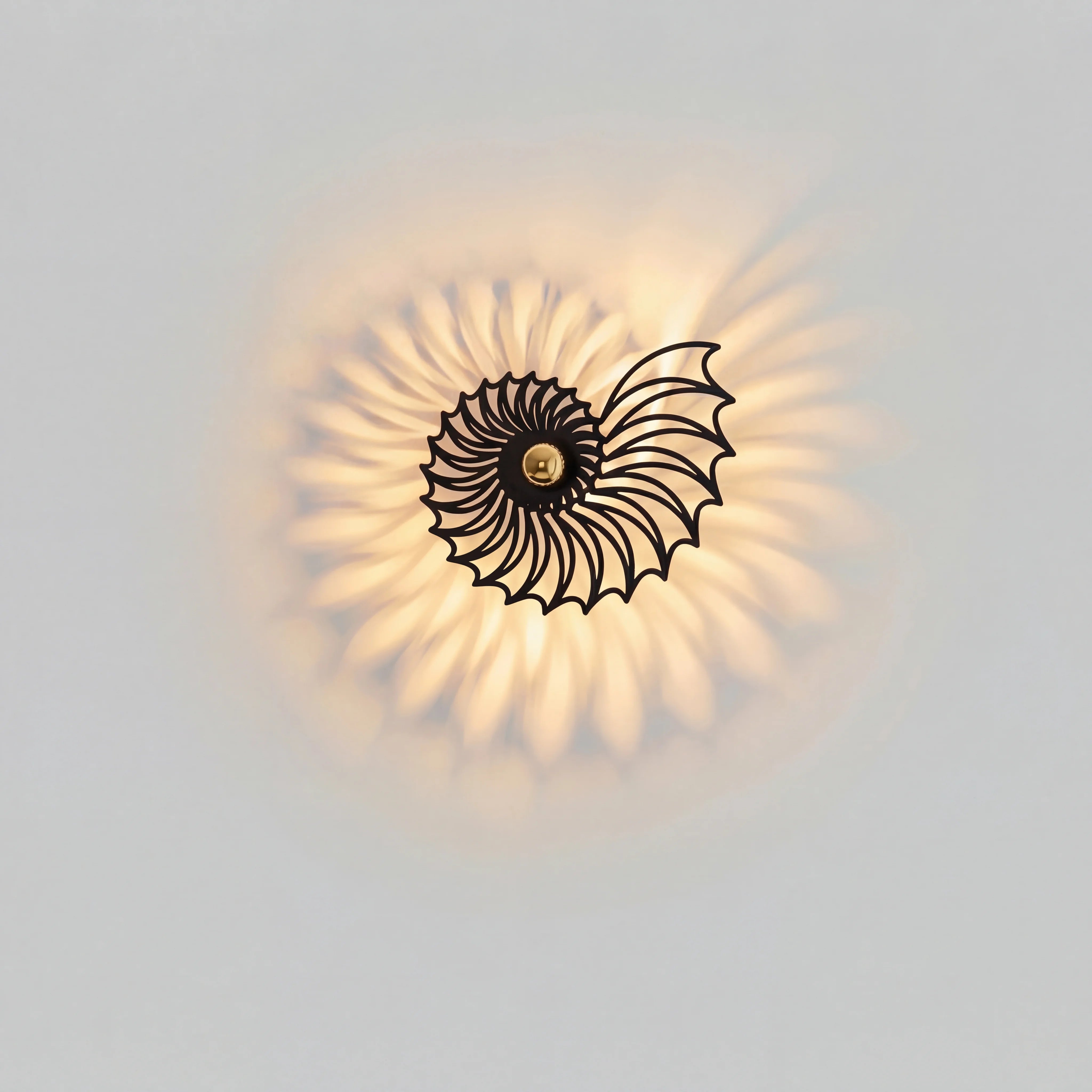 Nautilus Shell Decorative LED Wall Light