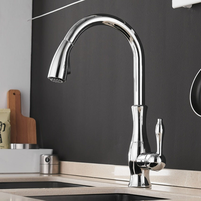 Retractable Kitchen Faucet with Pull-Out Spray Head and Single Handle