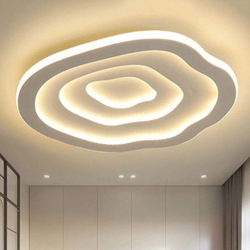 LED Ceiling Lamp | Modern Acrylic Flush Mount Ceiling Light
