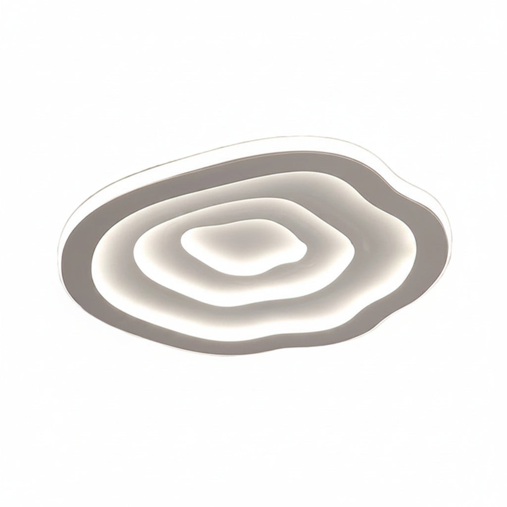 LED Ceiling Lamp | Modern Acrylic Flush Mount Ceiling Light