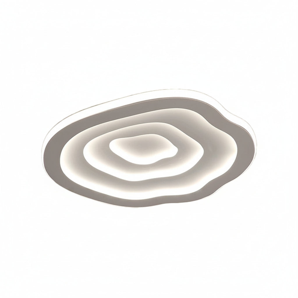 LED Ceiling Lamp | Modern Acrylic Flush Mount Ceiling Light